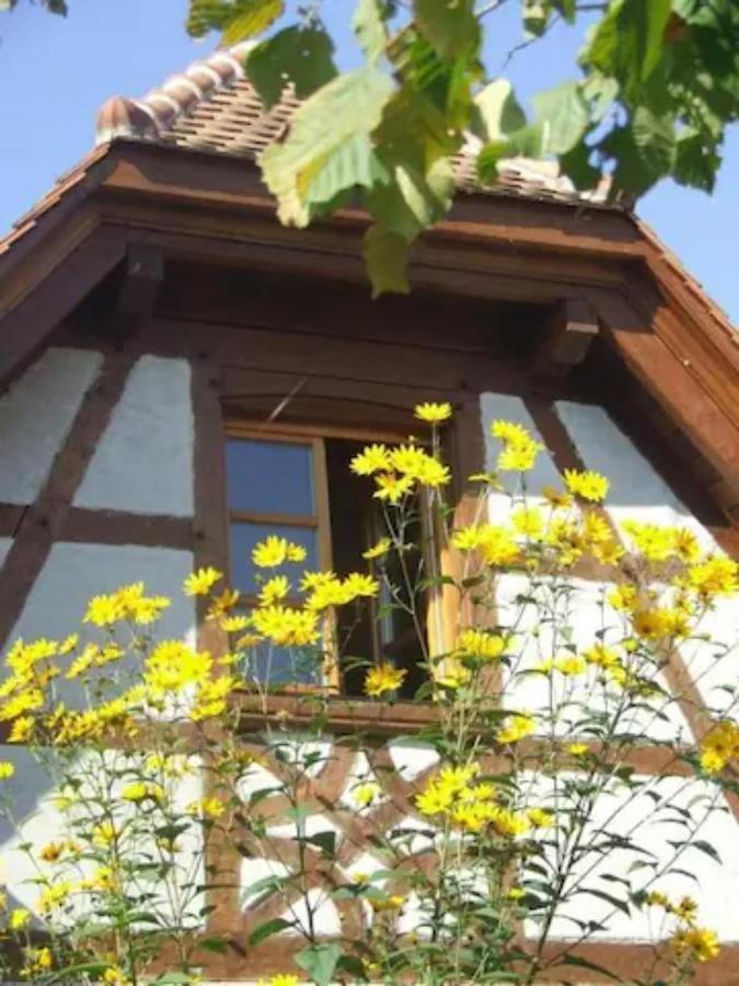 Gite Les Cerisiers Triembach-au-Val Eksteriør bilde