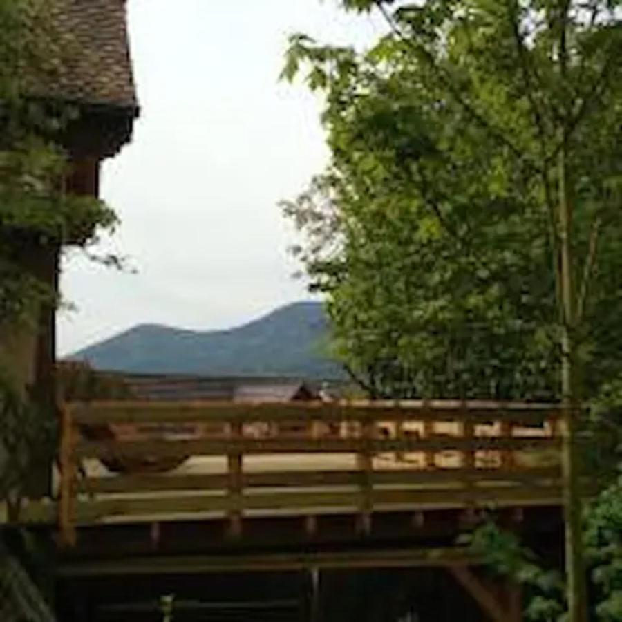 Gite Les Cerisiers Triembach-au-Val Eksteriør bilde